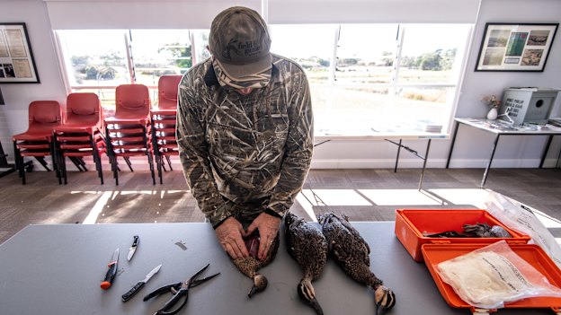 Hunter Trent Leen prepares the ducks for eating after the hunt.
