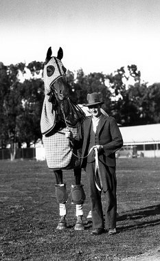 Phar Lap with his trainer Tom Woodcock on a track outside San Francisco, January 25, 1932.