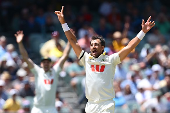 Australia’s paceman Mitchell Starc was the difference between both team’s attacks.