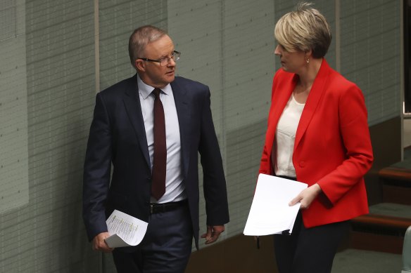 Opposition Leader Anthony Albanese and Sydney MP Tanya Plibersek during question time on Monday.