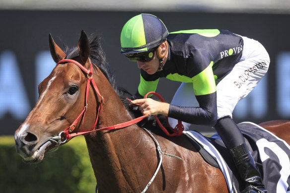 Sam Clipperton and Stockman after their Star St Ledger Stakes win during Everest Day earlier this month. 