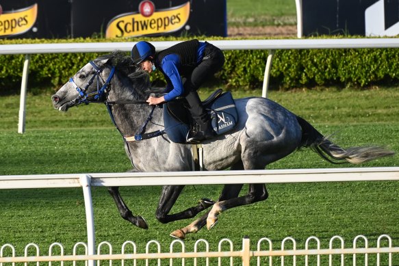 Annabel Neasham’s Top Rank will target the Classique Legend Stakes or be saved for The Gong-Villiers double.