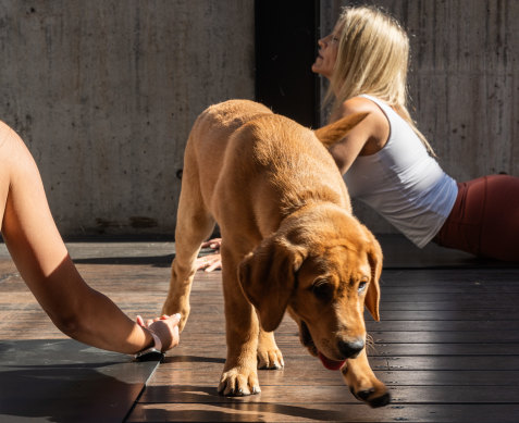 Yoga with Russell.
