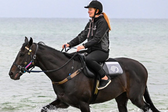 Defending Melbourne Cup champion Gold Trip with Ashley Jarvis at the beach.