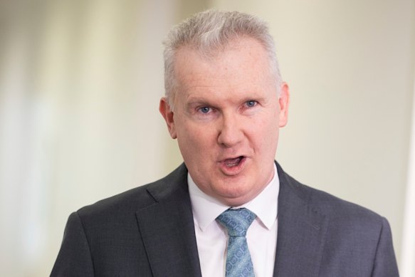 Home Affairs Minister Tony Burke has revealed ASIO will ban people with security clearances from boasting about it.