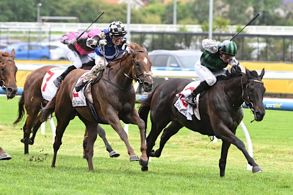 Poison Chalice, à direita, termina em segundo lugar no Eclipse do Impacto da Nova Energia em Caulfield em 30 de novembro de 2024.