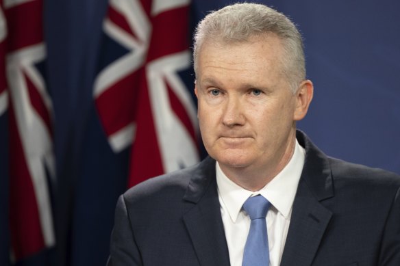 Workplace Relations Minister Tony Burke wants states and territories to consider a domestic ban on engineered stone.
