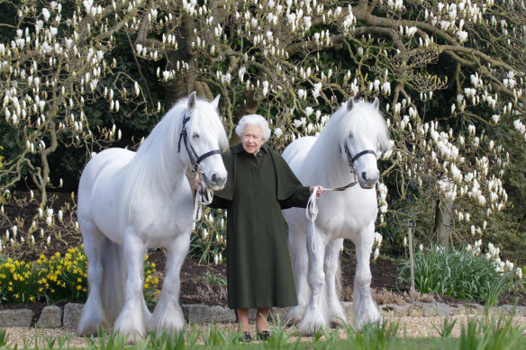 Ahead of The Queen’s 96th Birthday tomorrow, @windsorhorse have released a new photograph of Her Majesty. Taken last month in the grounds of Windsor Castle.