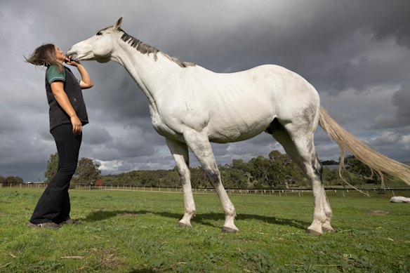 Veterinary nurse Molly Stewart with retired racehorse Chautauqua at Living Legends.