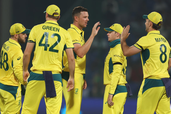 Hazlewood celebrates the wicket of Colin Ackermann.