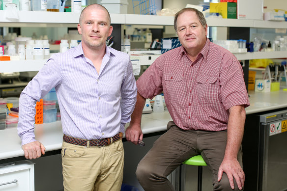 Professor Ian Alexander, right, and Dr Leszek Lisowski from the Children's Medical Research Institute. The researchers have welcomed a funding boost that will allow them to produce enough vectors for clinical trials.