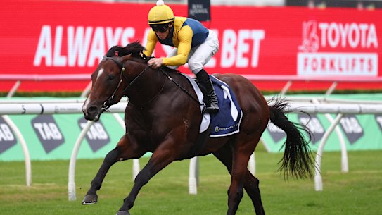 Golden Slipper favourite Storm Boy should a rails run after drawing barrier two for Saturday’s $5 million race at Rosehill. 