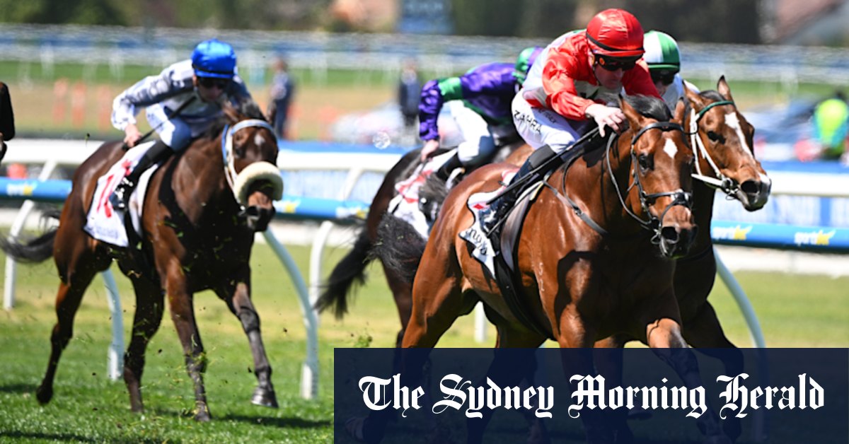 Race-by-race preview and tips for Beaumont (Newcastle) on Monday