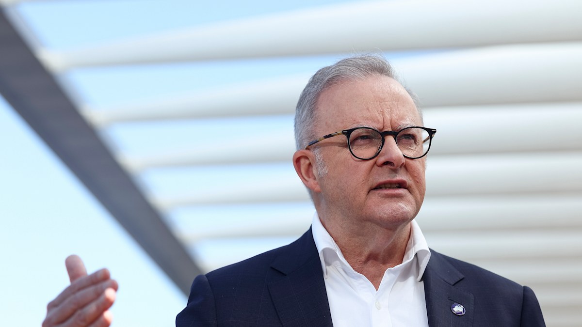 Albanese to push for global AI guardrails on but won’t commit on copyright - Nine.com.au