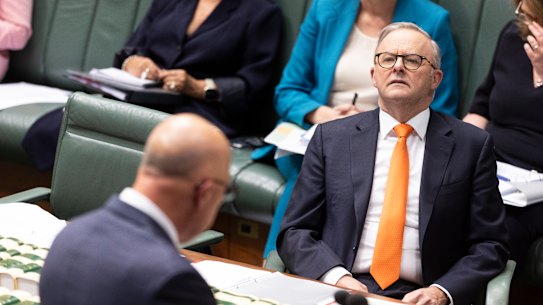 Prime Minister Anthony Albanese during question time this week.