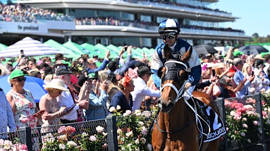 Moreira and Buckaroo head out to the start gate for the Melbourne Cup.
