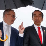 Jokowi and Albanese hit it off, but the countries’ placid relationship is not perfect