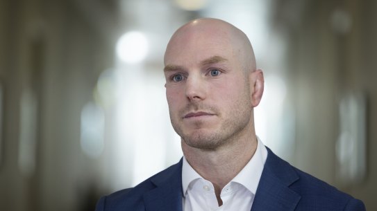 Senator David Pocock has called for a ban on AI-generated election materials.