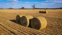 Record levels of wheat production have helped fuel a price boom in WA.