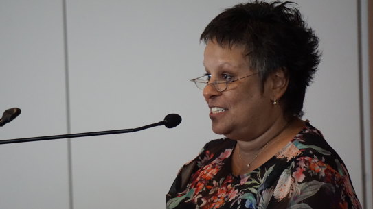 Retired public servant Tamara O'Shea has been named administrator for Logan City Council after the council was sacked by Local Government Minister Stirling Hinchliffe.