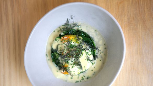 Zucchini flowers to share at the Dolphin Hotel.