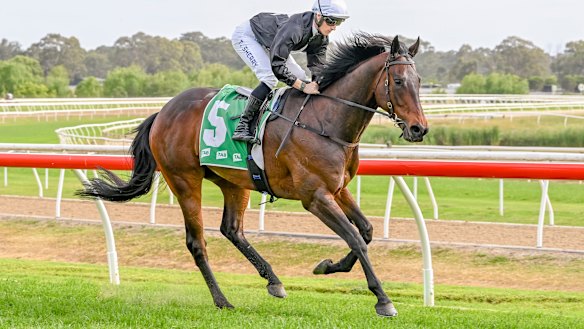 With Tom Sherry in the saddle, Inoue last won a race in October last year at Hawkesbury.