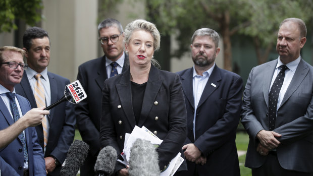 Agriculture Minister Bridget McKenzie was joined by industry representatives to announce the Mandatory Dairy Code of Conduct in Canberra.