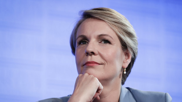Labor education spokeswoman Tanya Plibersek said the party would "wait to see" any detailed proposals from the government.