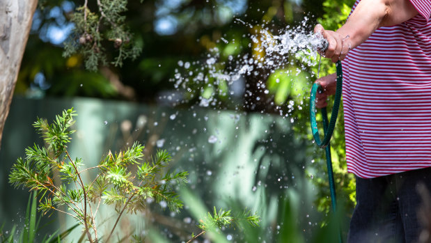 Upcoming level two water restrictions in Sydney will mean hosing the garden is not permitted.