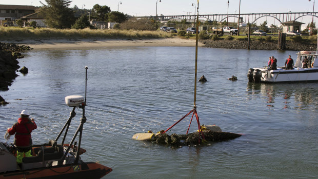 Crews lift the skull of a blue whale skeleton from the water in Yaquina Bay, Newport, Oregon.