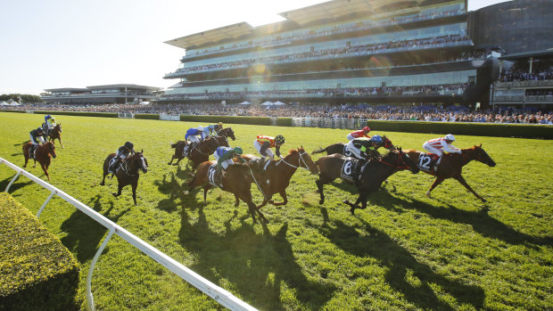 Craig Williams boots home Giga Kick to win The Everest.