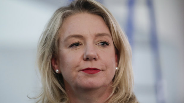 It's unknown whether the talking points were ultimately given to Senator Bridget McKenzie or used at the meeting with the PM.