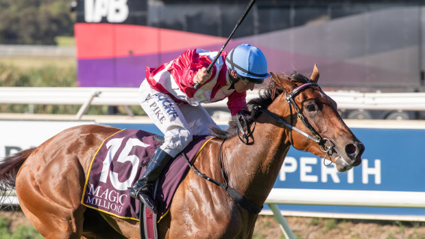 Western wonder: Arcadia Queen is ready to go in the Theo Marks Stakes at Rosehill on Saturday.