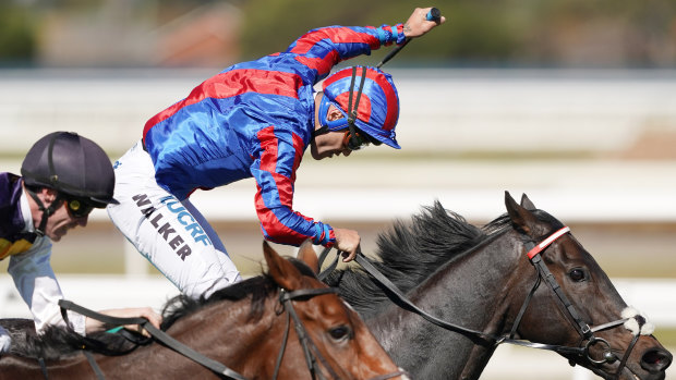 Michael Walker takes Prince Of Arran past the post in the Geelong Cup.