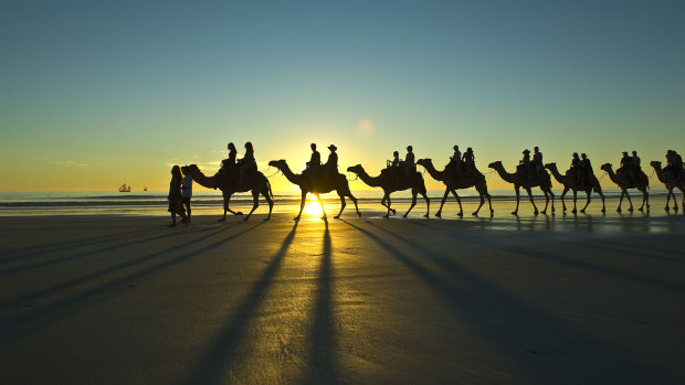 A camel ride on Cable Beach.