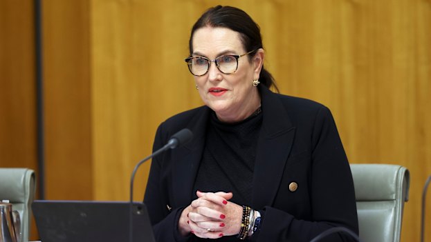 Labor senator Deborah O’Neill brought the whistleblower allegations to public attention in March.