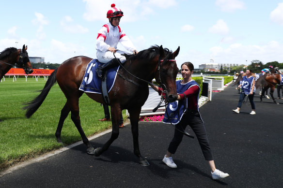Invincible Legend won a Midway at Randwick last month and lines up in the last on the Kensington track on Wednesday.
