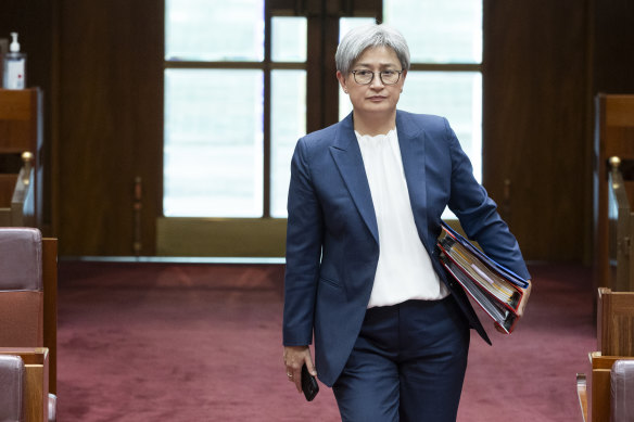 Rebuke: Foreign Affairs Minister Penny Wong.