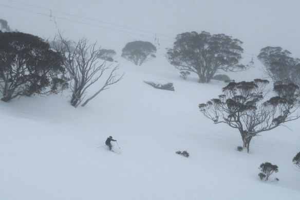 Skiers and snowboarders at Perisher as a front hitting south east Australia delivers heavy snow to the Snowy Mountains region.