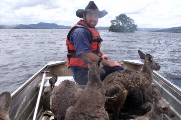 Wildlife conservationists rescue kangaroos from a flooded Burrendong Dam in December 2010.