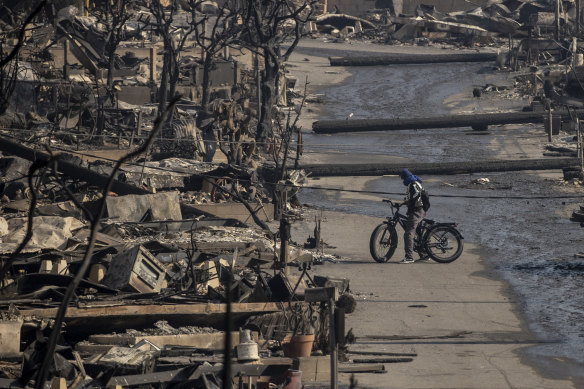 A cyclist stands among homes destroyed by the Palisades fire.