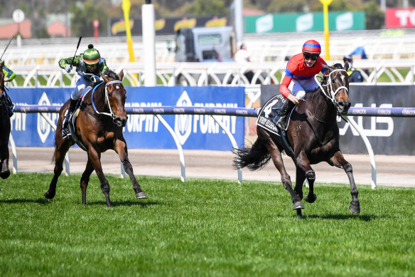 Verry Elleegant, ridden by James McDonald, wins the Melbourne Cup at Flemington.
