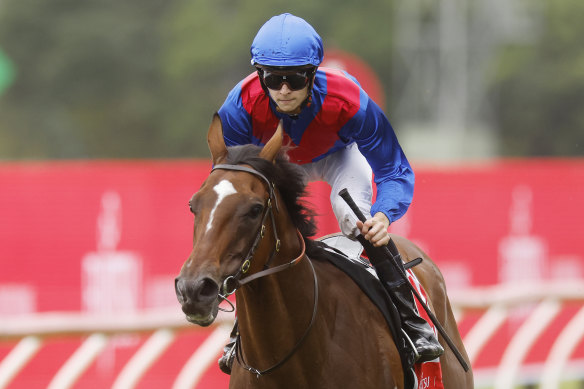 Arapaho and Dylan Gibbons won the Fujitsu General Handicap during Sydney Racing at Rosehill Gardens in May. 