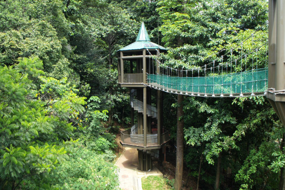 One of the elevated walkways of the KL Forest Eco Park.