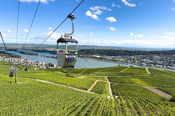 An old-fashioned cable car passes over the stunning Rhine-side vineyards at Ruedesheim.