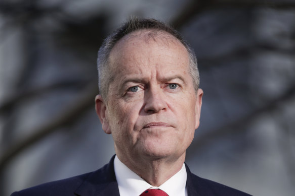 Labor's government services spokesman Bill Shorten has called for a royal commission into the robo-debt saga.
