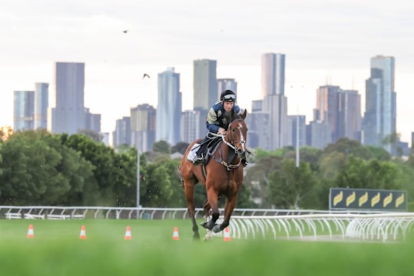 Jockey Ben Melham gives Birdman, trained by Chris Waller, a hit out at Flemington before the Cox Plate.