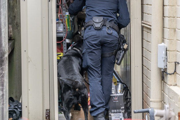A drug detection dog searches the North Bondi home.