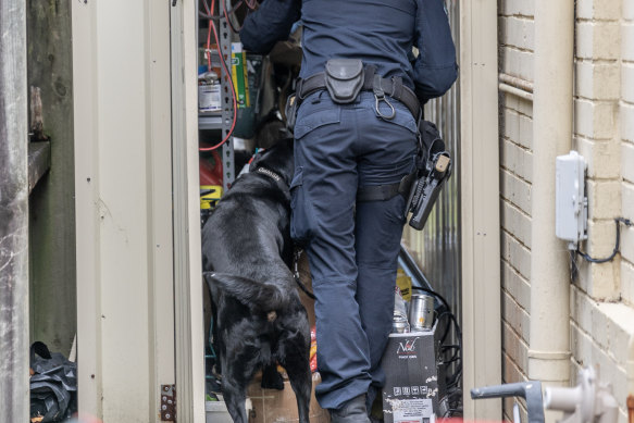 A drug detection dog searched the home.