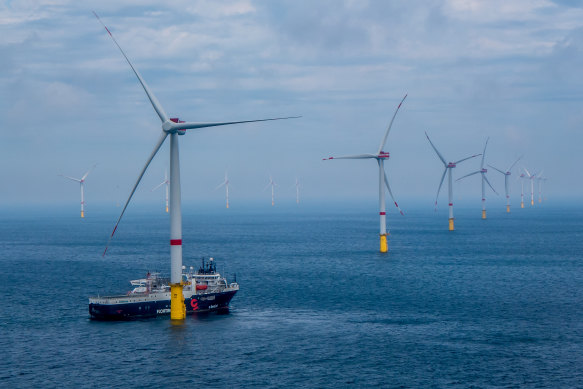 The Star of the South wind farm would look similar to the Veja Mate offshore wind farm in Germany.